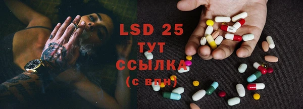 прущие грибы Абаза