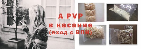 прущие грибы Абаза