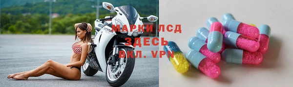 СК Абинск