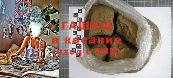 прущие грибы Абаза