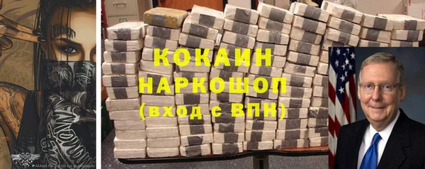 прущие грибы Абаза