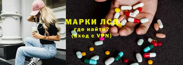 прущие грибы Абаза