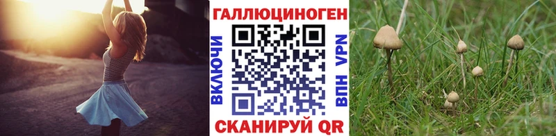 Псилоцибиновые грибы ЛСД  купить наркотики цена  blacksprut зеркало  Гагарин 