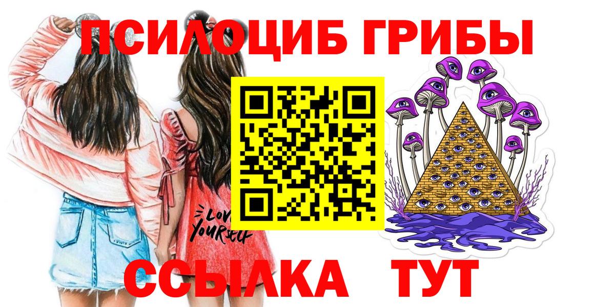 Гагарин  Галлюциногенные грибы Cubensis  Вход с VPN  Псилоцибиновые грибы Psilocybe 