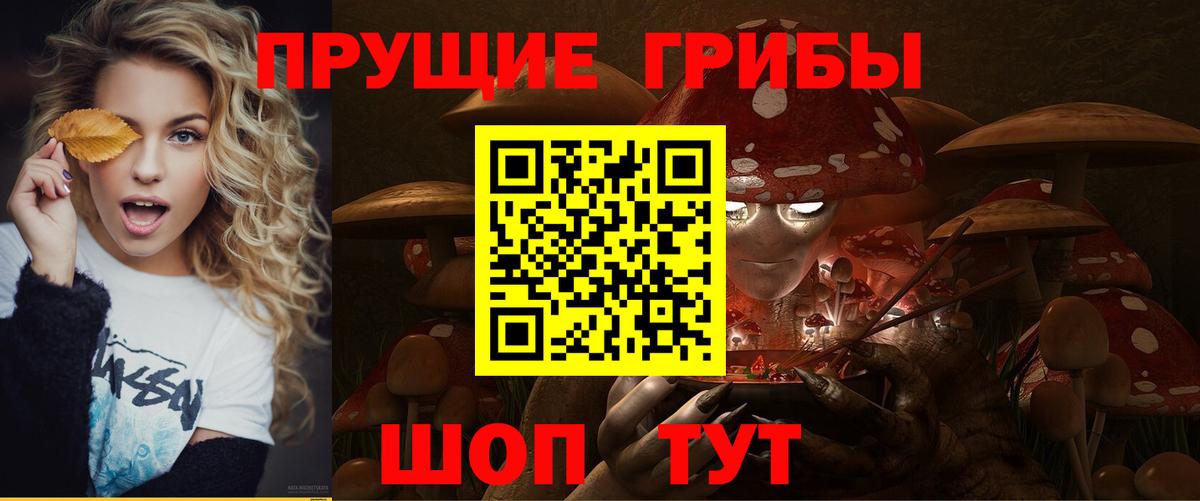 Псилоцибиновые грибы Cubensis Гагарин